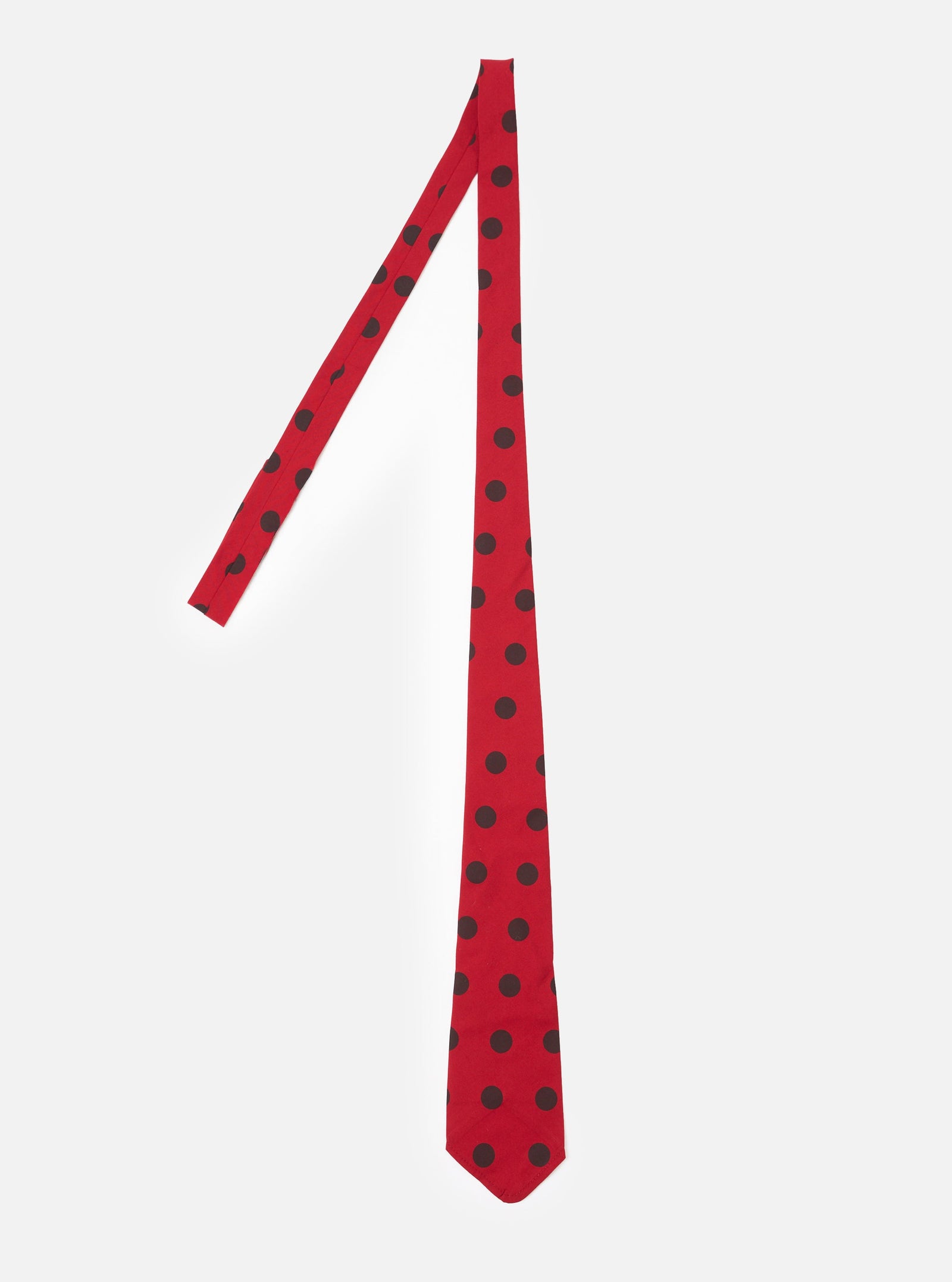 Red Black Bold Dot Print Rayon Tie