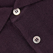 Merino Wool Knitted Polo Eggplant