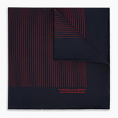 And Red Stripe Silk Pocket Square