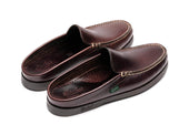 BAHAMAS/MARINE MARRON-LISSE AMERICA
