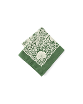 Paisley Bandana