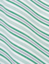 Chemise Semi Ajust E Ray E Verte