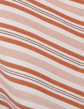 Chemise Classique Ray E Marron