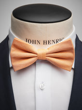 Pocket Square Cotton