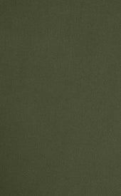 Surplus Green Chinos