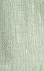 Pistachio Green Button Down Collar Linen