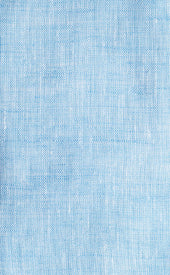 Light Chambray Button Down Collar Linen