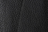 The Passport Holder