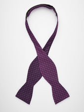 Bow Tie