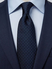 Blue & Light Blue Dot Tie