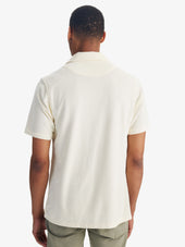 Terry Polo