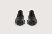 Crocus Anilcalf Noir Ravel