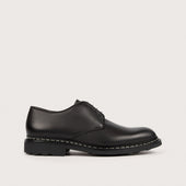 CROCUS Anilcalf Noir Ravel