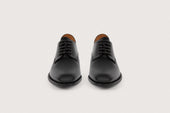 Aralia Fe Box Noir Cuir P