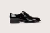 Aralia Fe Vernis Noir Cuir P