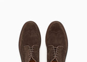Longwing Suede