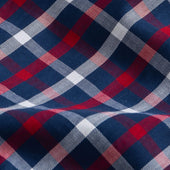 The Red Miller Check Casual Shirt