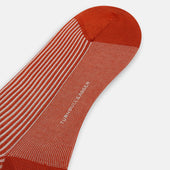 White Thin Striped Long Socks