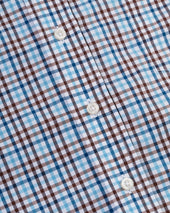 Gingham Button Down Sport Shirt Classic Fit