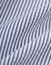 Made In Canada Stripe Seersucker Sport Coat