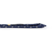 Woven Silk Tie Sky Blue And Silver Neat Medallion Print