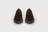 Crocus Hydrovelours Caf Ravel