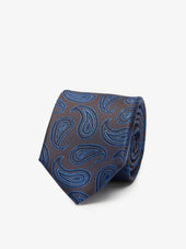 Tie Paisley