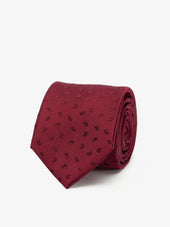 Tie Paisley