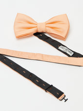 Bow Tie