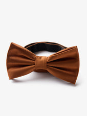 Bow Tie
