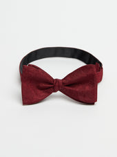 Bow Tie