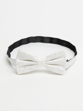 Bow Tie