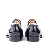 The Brogued Oxford