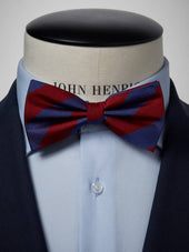 Blue & Burgundy Bow Tie
