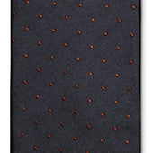 Polkadot Tie