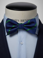 Blue & Green Bow Tie