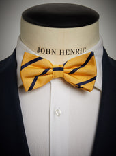 Pocket Square Regimental