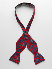 Bow Tie Paisley
