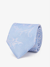 Tie Paisley