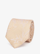 Tie Paisley