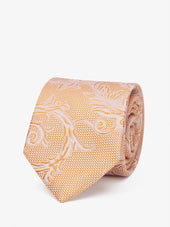 Tie Paisley