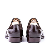 Long Wing Oxford