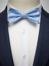 Tie Paisley