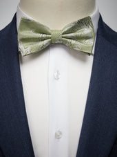 Tie Paisley
