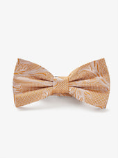 Bow Tie