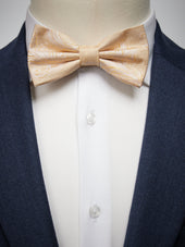 Tie Paisley