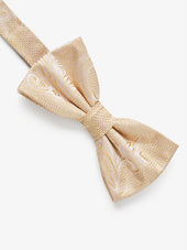 Bow Tie
