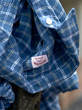 Richards Linen Check