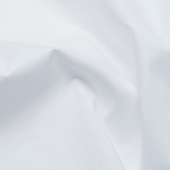 Pinpoint Carter Shirt
