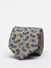 Tie Paisley